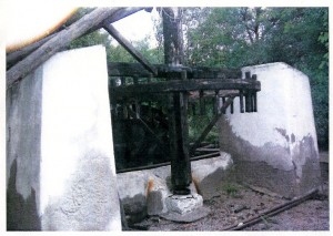 torreminguez002
