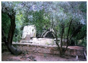 torreminguez004