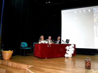 Dia 25_Luis Lison (11)