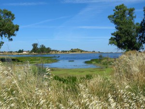 Brozas_09_Parque_periurbano_conservacion_y_ocio_charca_de_brozas_y_ejido