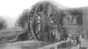 Antigua noria y huerta murciana