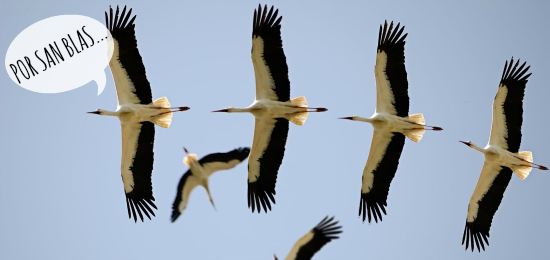 Depositphotos_6584234_m