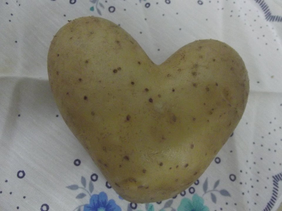 14088628_1062896163798939_5917466468952704431_n