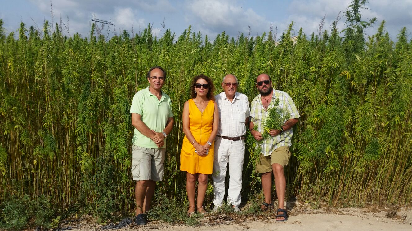 Los organizadores de la siega del cáñamo.