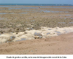 Sin titulo-4