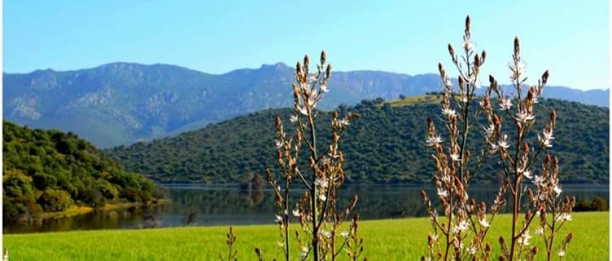 1478068758_fb_img_1478005017550