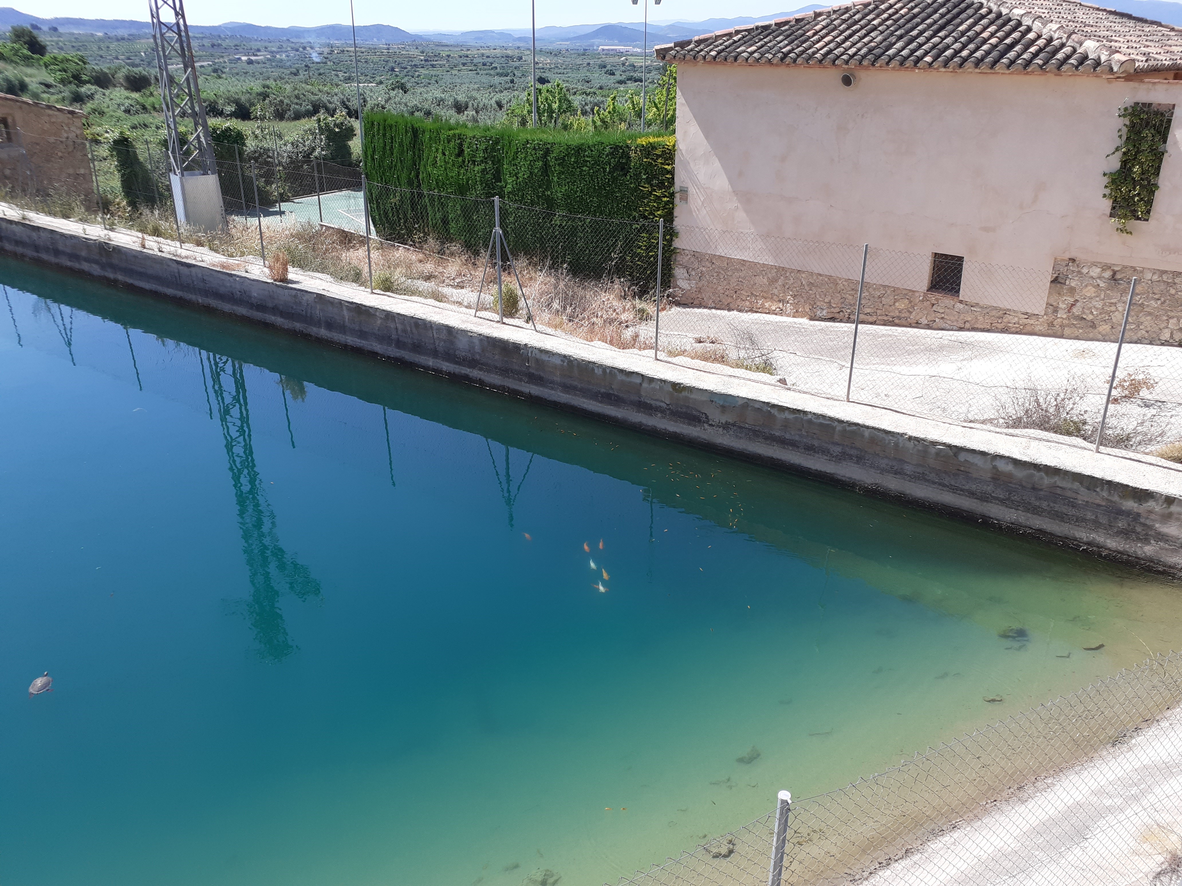 EL BALSÓN: OTRA INCÓGNITA HISTÓRICA – Real Asociación Española de Cronistas  Oficiales