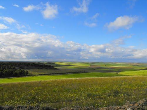 UN LUGAR PARA SOÑAR