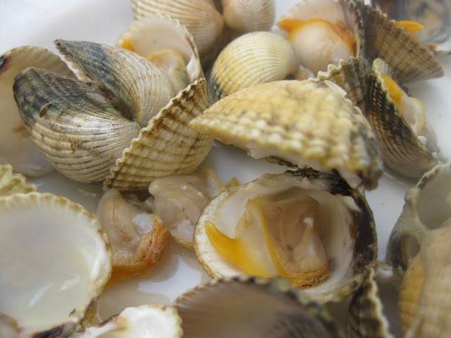 FABINES Y VIRIGÜETOS