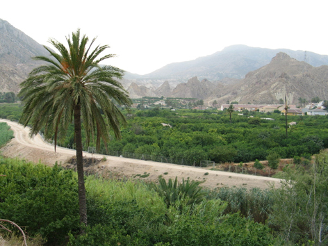 JORNADAS INTERNACIONALES SOBRE LA HISTORIOGRAFÍA Y LAS NUEVAS LÍNEAS DE ESTUDIO DE LOS MORISCOS DEL VALLE DE RICOTE (MURCIA). 31 MARZO-2 ABRIL 2014