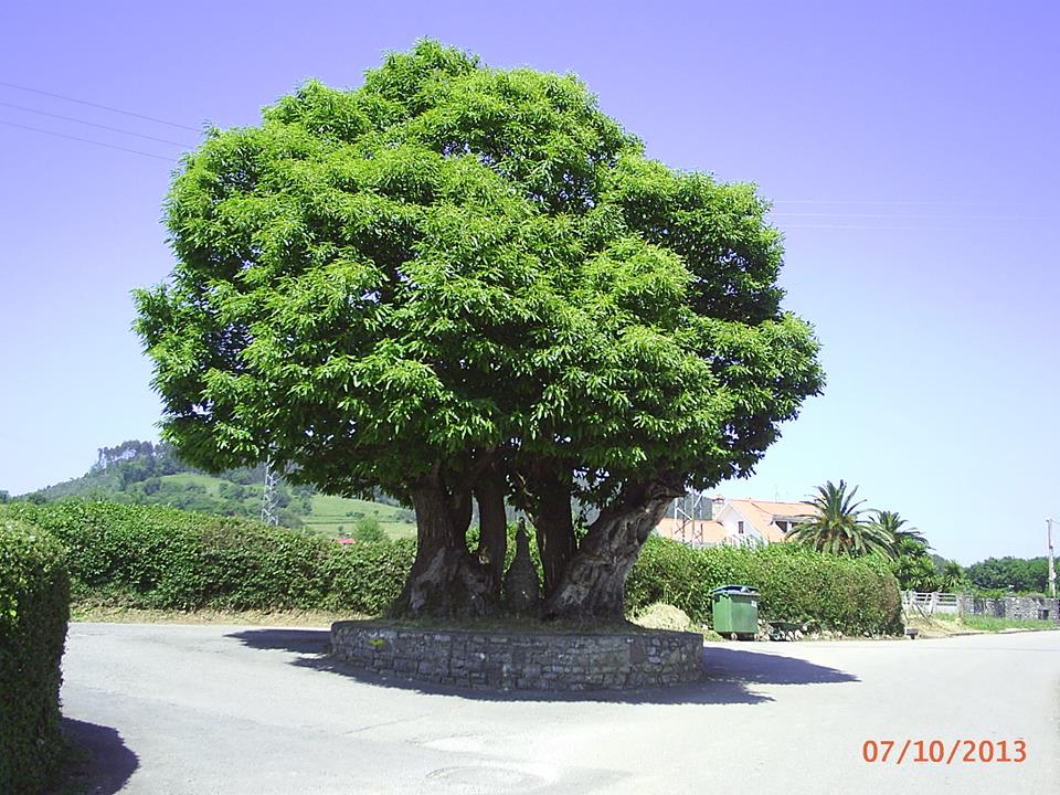 UNA MERIENDA CON PROCESIÓN