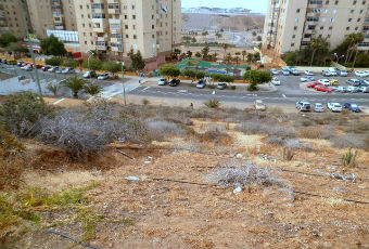 ASOCIACIONES, PARTIDOS Y PARTICULARES DE TELDE DENUNCIAN, LA INANICIÓN, DESIDIA Y ABANDONO DEL GRUPO DE GOBIERNO CON LAS ZONAS VERDES DEL MUNICIPIO