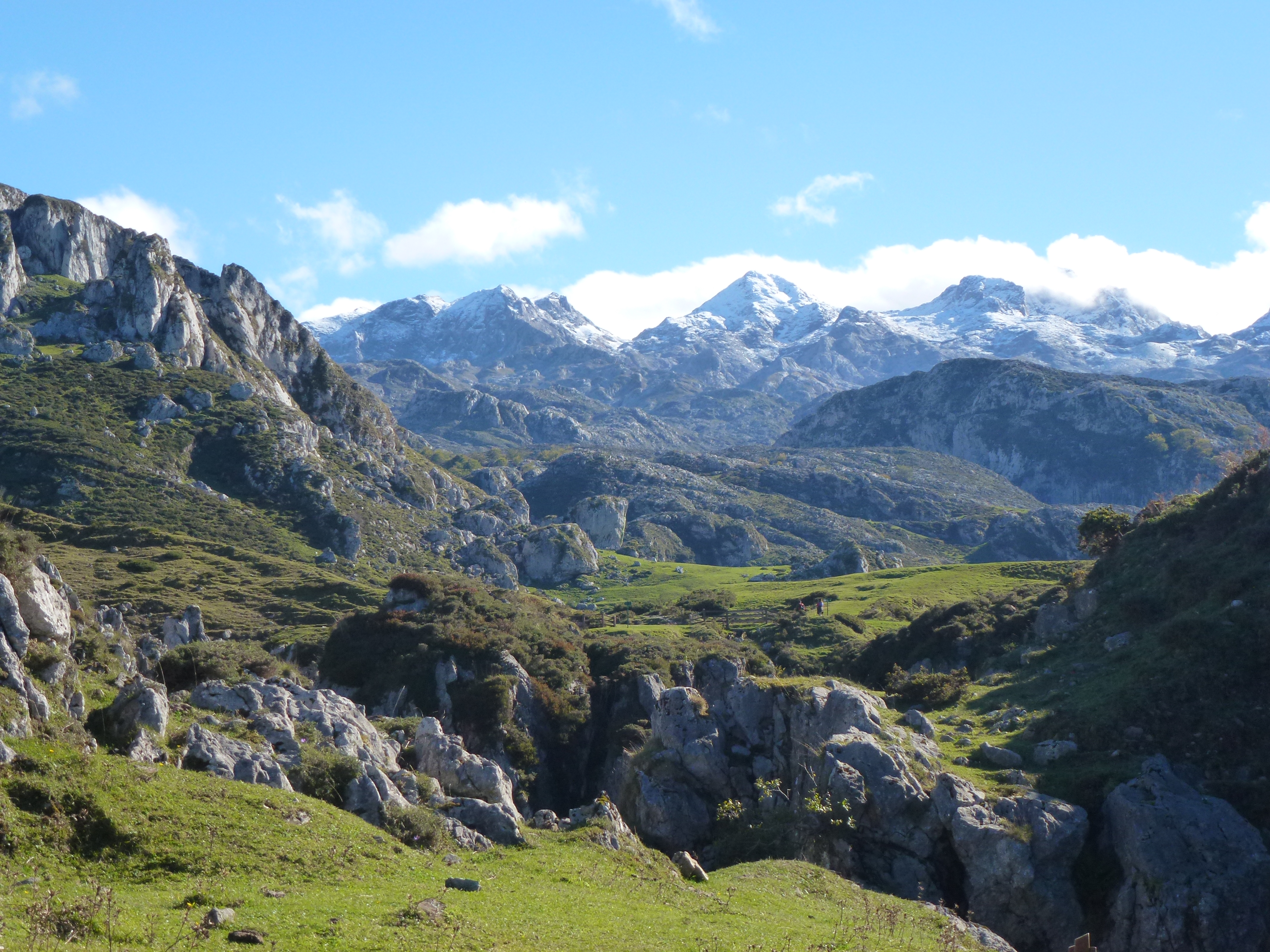 A TENOR DEL PARQUE NACIONAL DE LOS PICOS DE EUROPA Real Asociaci n A TENOR DEL PARQUE NACIONAL DE LOS PICOS DE EUROPA Real Asociaci n