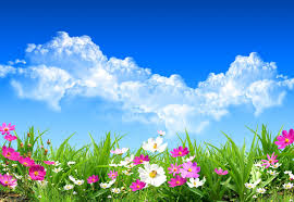 BROTES DE PRIMAVERA