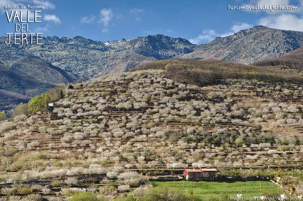 EL VALLE EN FLOR – VALLE DEL JERTE (CÁCERES)‏