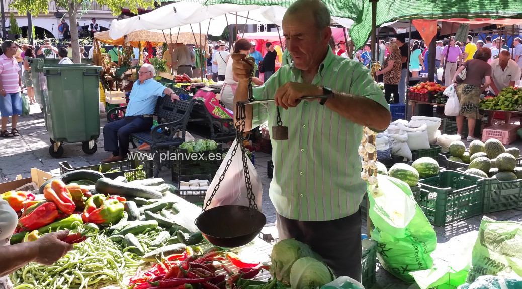 EL MERCADO DE PLASENCIA Y LAS GUERRAS CARLISTAS EN LA MEMORIA HISTÓRICA