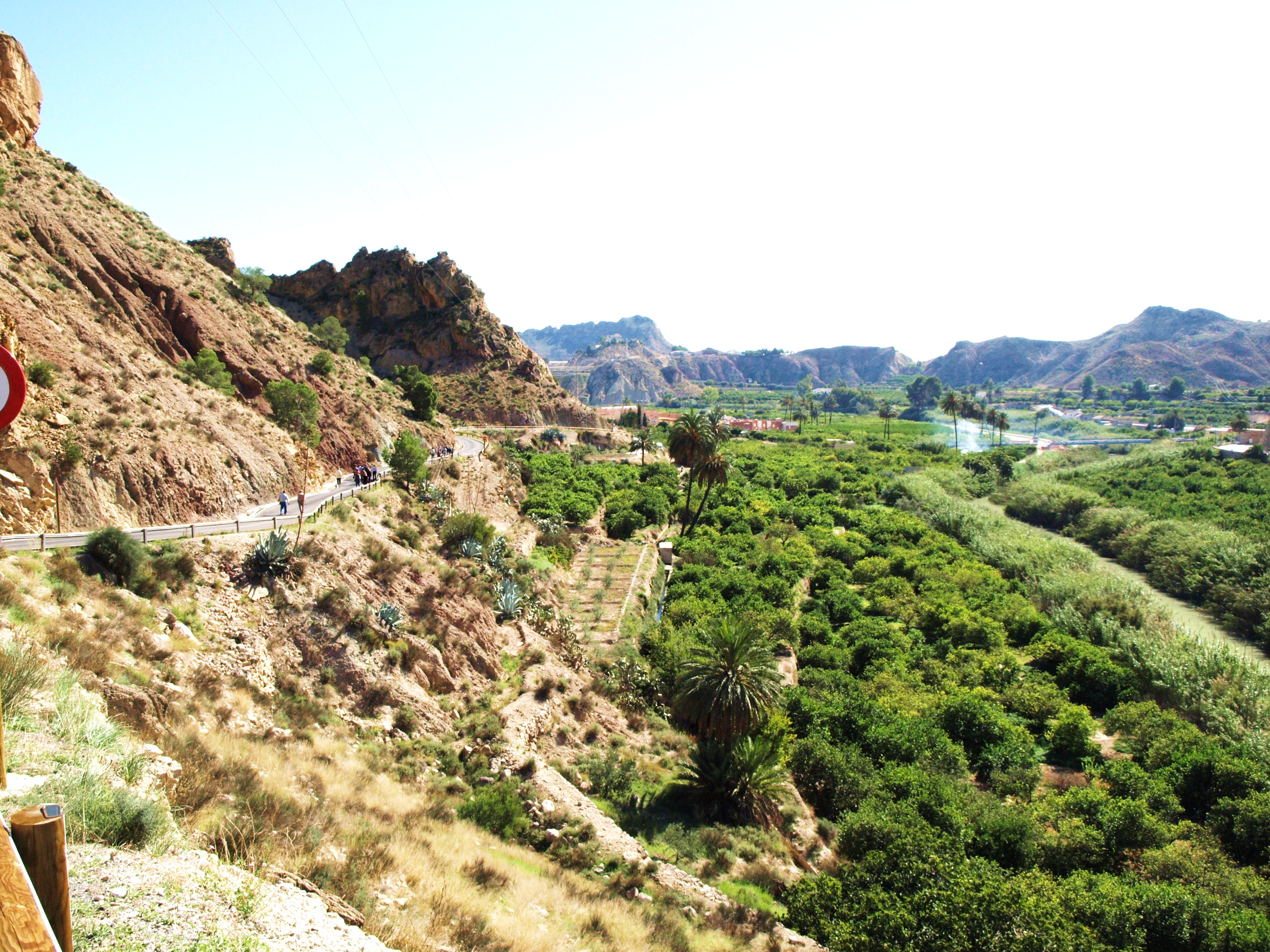 LAS DOS CARAS DE ULEA