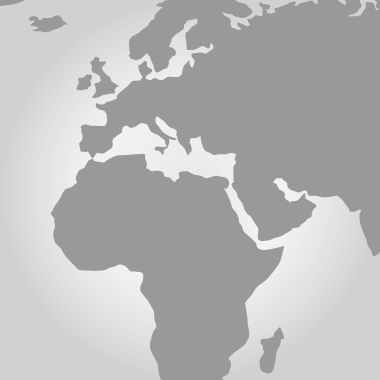 EUROPA Y ÁFRICA • EL PRIMER MUNDO SIEMPRE HA EXPLOTADO AL CONTINENTE NEGRO Y, DE ALGUNA MANERA, SIGUE HACIÉNDOLO