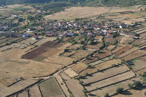 PRÓLOGO EXTENSIVO • GALLEGOS DEL CAMPO HA ABIERTO UN PROYECTO DE FUTURO