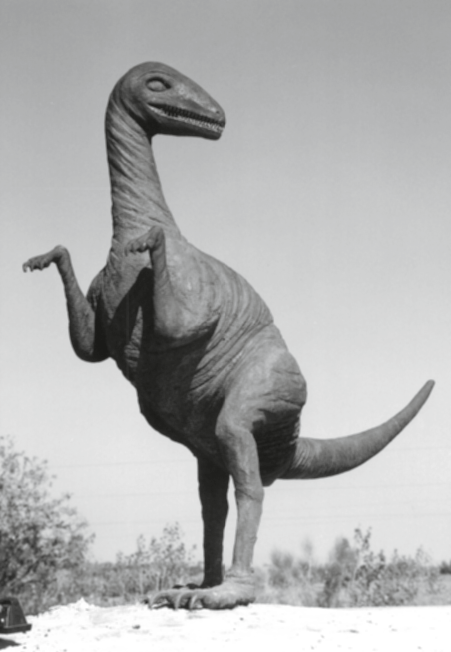 ENIGMÁTICAS • EL YACIMIENTO DE IGNITAS DE LAS ERILLAS BLANCAS