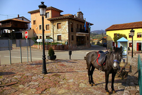 A LA SEÑORA CRONISTA OFICIAL DEL CONCEJO DE LAS REGUERAS (ASTURIAS)