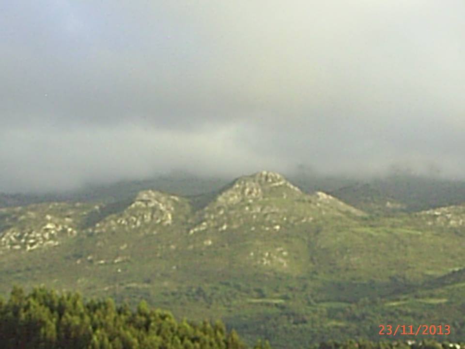 EN EL SUEVE HABÍA «BORRINA»