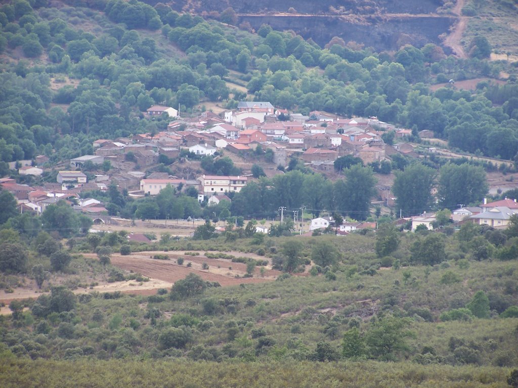 EJEMPLO DE LECCIÓN Y ESPERANZA • PALAZUELO, SIEMPRE ACOGIDO A ESE PAISAJE DULCE Y ATRACTIVO, INVITA A QUEDARTE MIRANDO CERCA