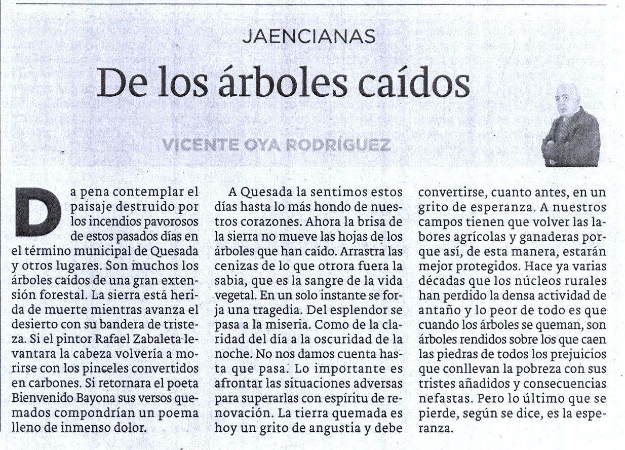 DE LOS ÁRBOLES CAÍDOS