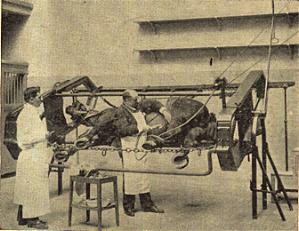 UN VETERINARIO DE ULEA EN 1929