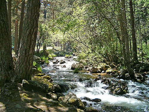 ELEGÍA DEL RÍO CEGA