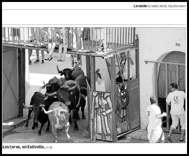 BOUS AL CARRER AL CAMP DE MORVEDRE