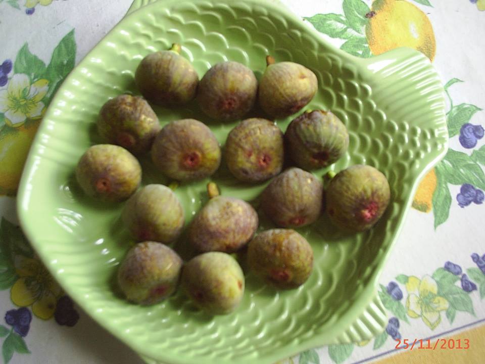 POR SAN MIGUEL LOS HIGOS SON MIEL