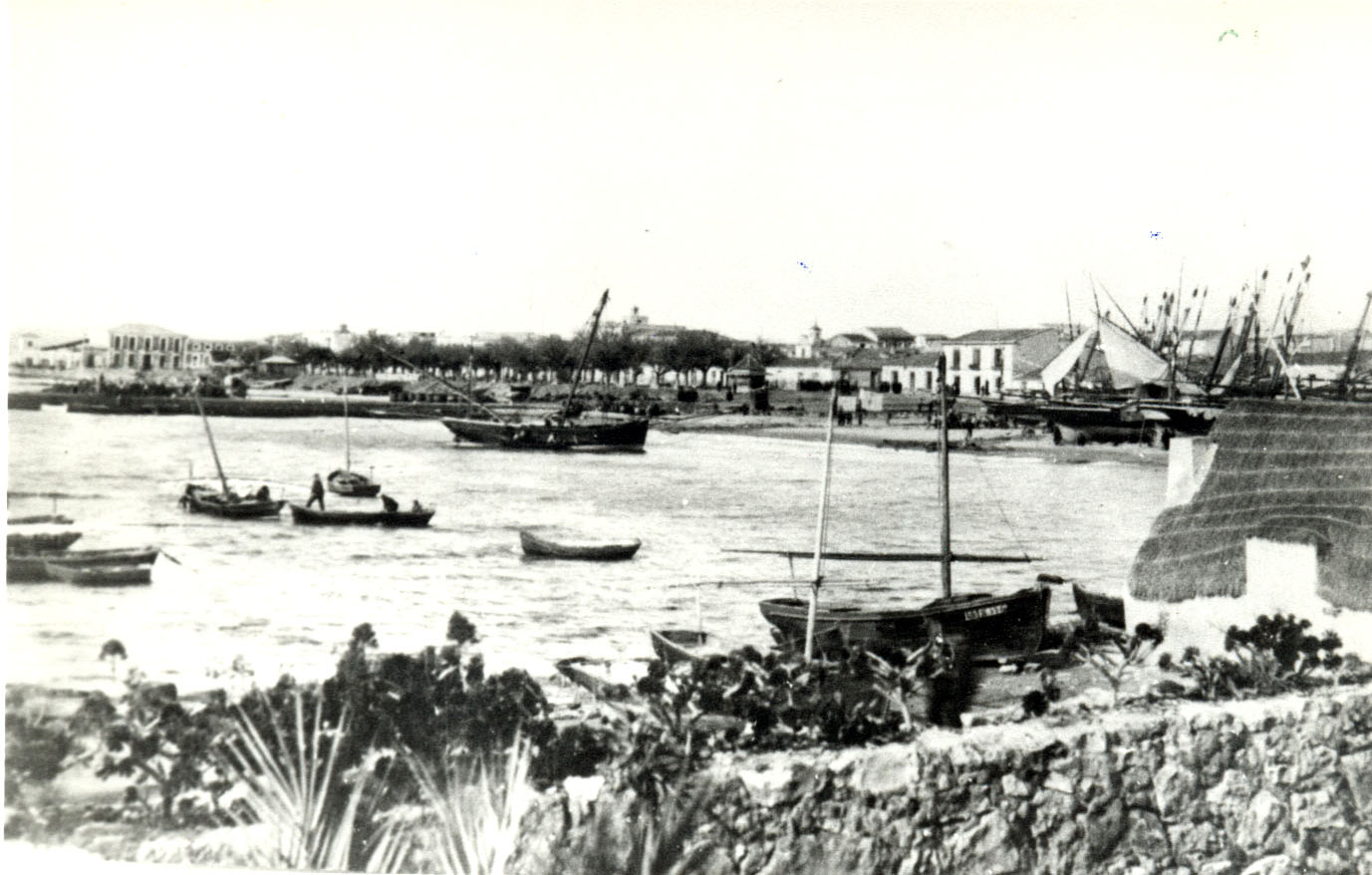 TORREVIEJA… UN PUERTO DE NUNCA ACABAR (6)