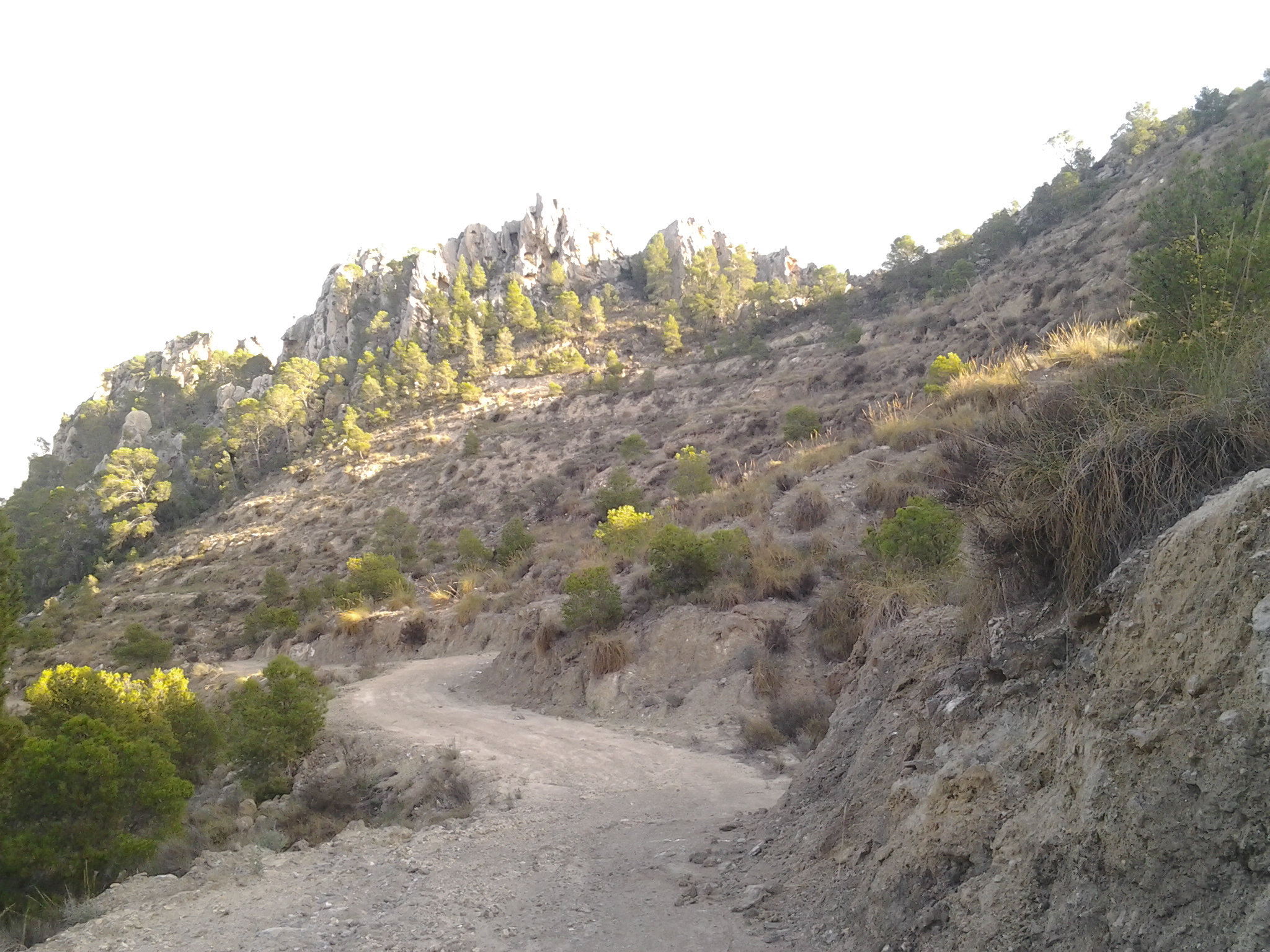 EXCURSIÓN A UN PARAJE INCOMPARABLE