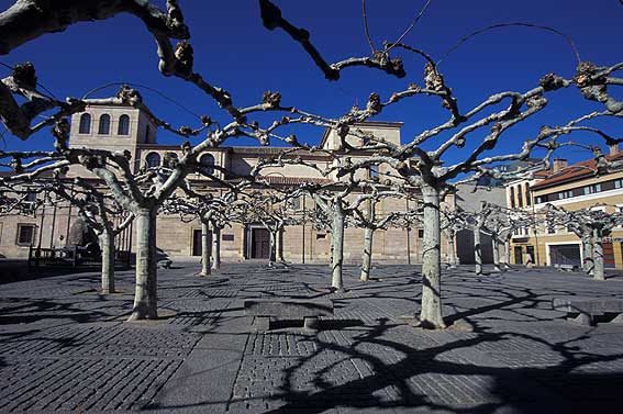 POR FIN NACIÓ EL MERCADILLO DOMINGUERO • EN EL ENTORNO DE LA PLAZA DE VIRIATO SE ASIENTAN CADA VEZ MÁS VENDEDORES CON SUS OFERTAS