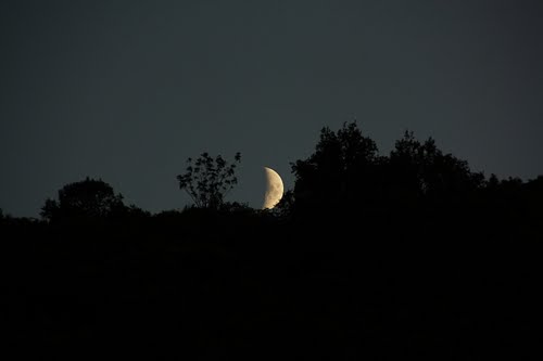 EL ASOMBRO DEL PAJARILLO