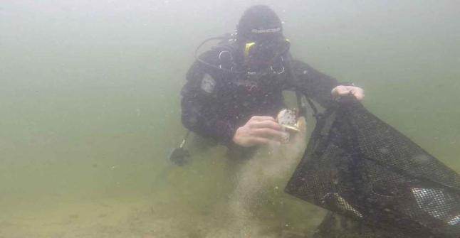 ALGO ESTÁ FALLANDO • TONELADAS DE BASURA EN EL LAGO DE SANABRIA Y EN ALMENDRA, UN EJEMPLO DE COMPORTAMIENTO INCÍVICO