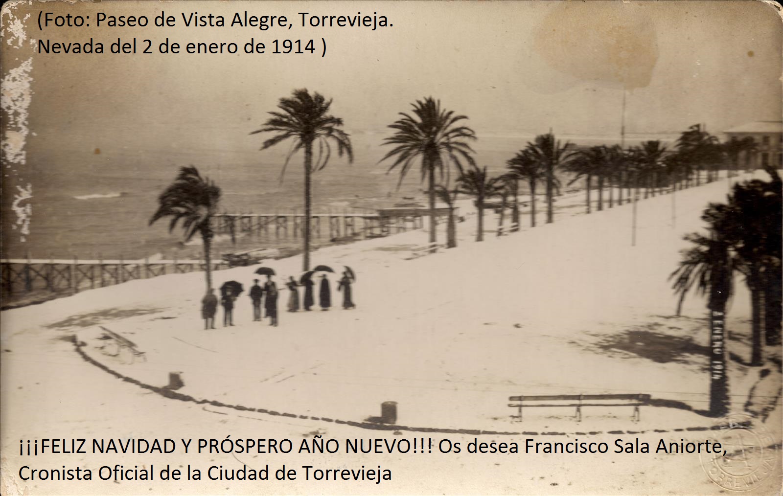 FRANCISCO SALA ANIORTE, CRONISTA OFICIAL DE TORREVIEJA, OS DESEA UNAS FELICES FIESTAS