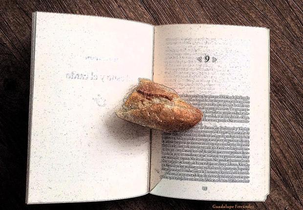 FUENTE VAQUEROS (CÁCERES) SE SUMA A LA CAMPAÑA “MEDIO PAN Y UN LIBRO” EN DEFENSA DE LAS BIBLIOTECAS RURALES