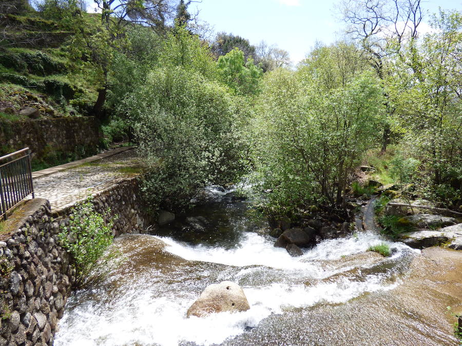 EN ABRIL, AGUAS MIL…