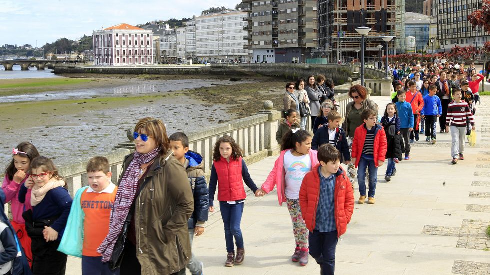 VIVEIRO (LUGO) CELEBRÓ LA FESTA DA ÁRBORE CON PLANTACIÓN SIMBÓLICA, MÚSICA Y POEMAS • PARTICIPARON ESCOLARES DEL LOIS TOBÍO, LANDRO Y PEDROSA LATAS: ÁLBUM EN LA VOZ.ES