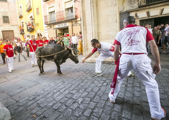 CUENCA SERÁ EL EPICENTRO DEL TORO CON CUERDA • SERÁ SEDE DE LA XV EDICIÓN DEL CONGRESO NACIONAL