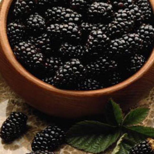 EN SEPTIEMBRE, DULCE Y CREMA DE ZARZAMORAS