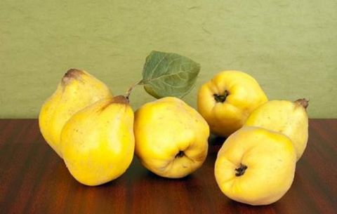 CODOÑATE, QUE ES DULCE DE MEMBRILLO