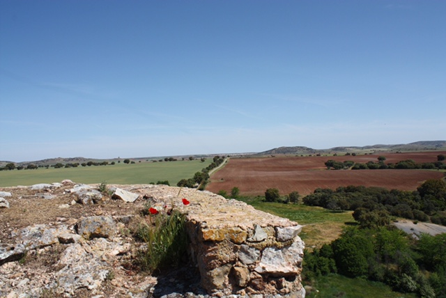 UN PLAN, UN PROYECTO Y DOS REIVINDICACIONES PARA EL DESARROLLO SOSTENIBLE DEL CAMPO DE MONTIEL