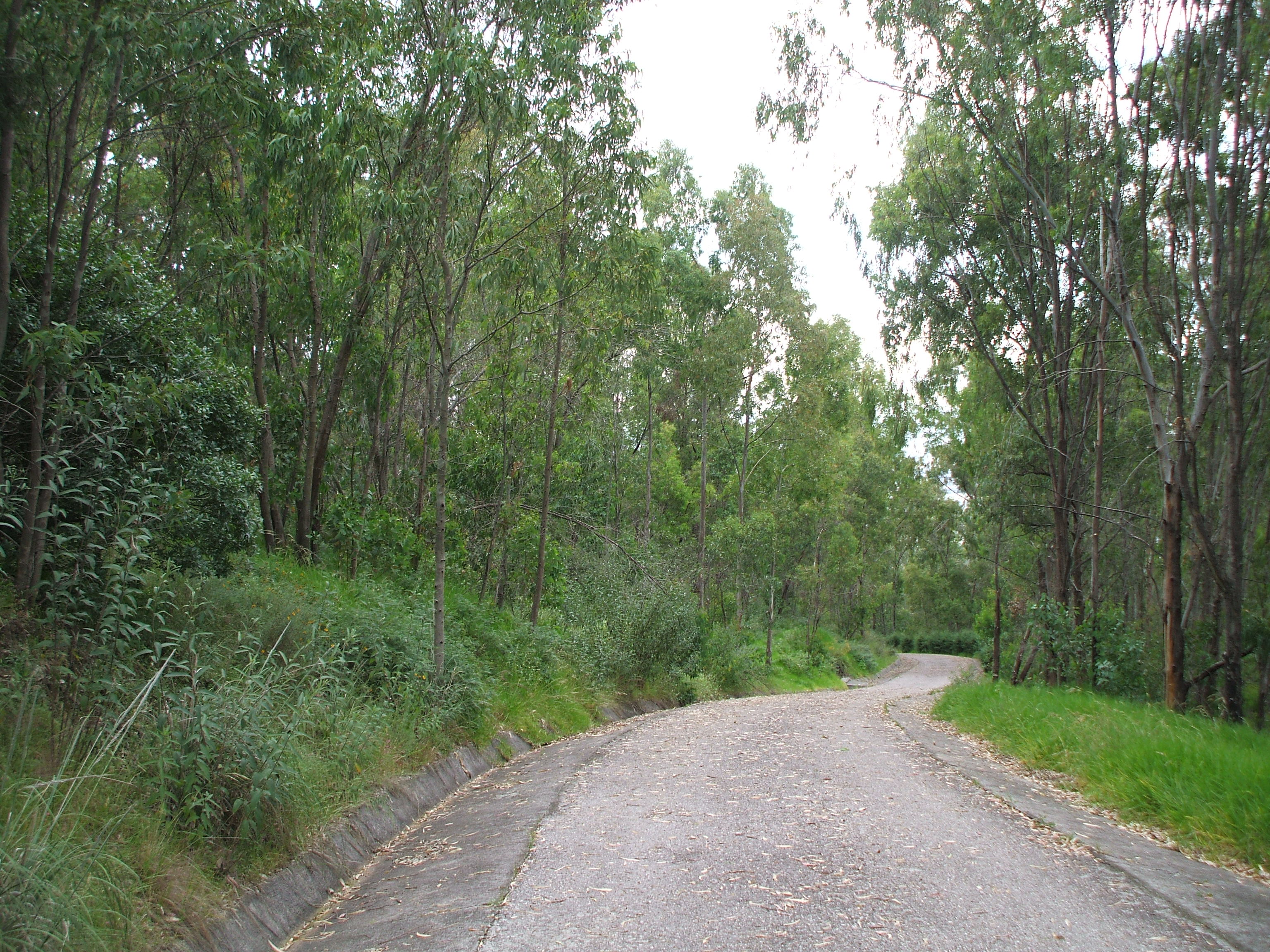PACO CARRILLO ESPINOSA INGENIERO DE CAMINOS. ÚLTIMA PARTE
