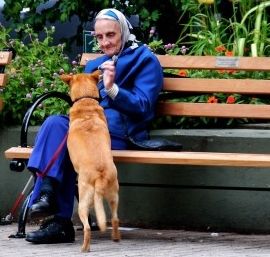 EL LAMENTO DE LOS PERROS