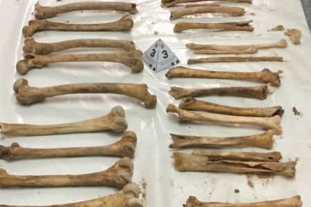 ARTÍCULO DEL CRONISTA OFICIAL DE TERUEL, VIDAL MUÑOZ: “LOS RESTOS ÓSEOS DE ORIGEN MEDIEVAL DEL PALACIO DE JUSTICIA DE TERUEL”