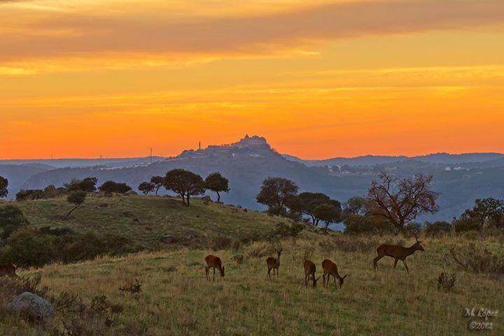 EL CERRO DE LA CABEZA, DONDE SE APARECIÓ LA VIRGEN DE LA CABEZA