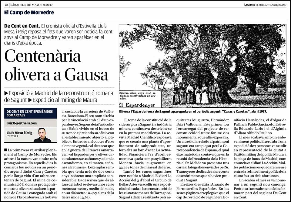 CENTENARIA OLIVERA A GAUSA
